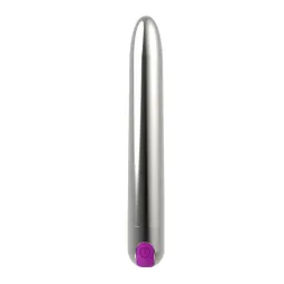 Renee Vibe 10 Vibrating Functions 18,5 cm USB Silver